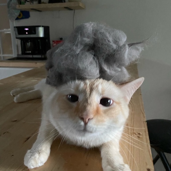 Meet your Posher, Lepetit - Picture 2 of 14